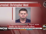Chandler man tries to attack police officer