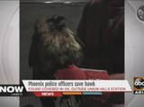Police officers save hawk