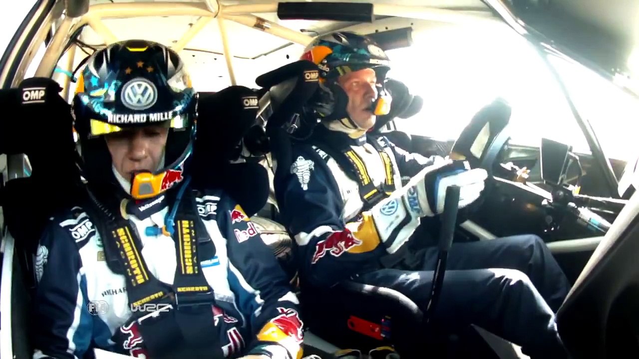 WRC Rally Guanajuato México 2016: Ogier-cow-incident