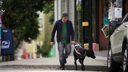 The Toyota Effect: Project BLAID | Toyota