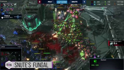Snutes sick Fungal WCS Winter Championship