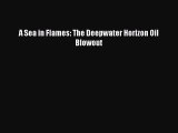 Download A Sea in Flames: The Deepwater Horizon Oil Blowout Ebook Free