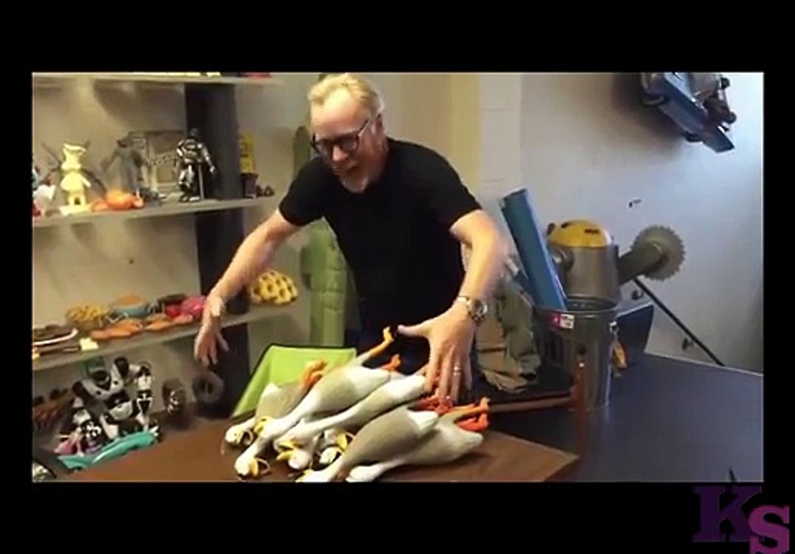 ⁣Screaming duck - screaming ducks vine