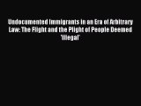Read Undocumented Immigrants in an Era of Arbitrary Law: The Flight and the Plight of People