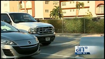 Cae una banda que se dedicaba a robar autos en Hialeah y Miami - América TeVé (News World)