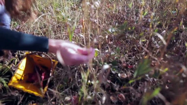 Bir mühendislik harikası: Yürüme ve hareket sistemi