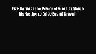 Read Fizz: Harness the Power of Word of Mouth Marketing to Drive Brand Growth Ebook Free
