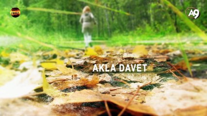 Fotosentez bir yaratılış delilidir