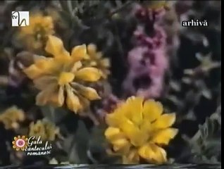 Maria Ciobanu Spune mi, neica, adevarat (fragment 1976)