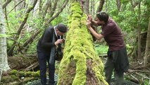 Chile's most biodiverse park threatened by climate change