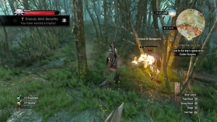 THE WITCHER 3 WALKTHROUGH PART 107 - FRIENDS WITH BENEFITS TROPHY & FISTS OF FURY VELEN