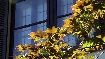 Love Me, Love My Doll - Real Stories