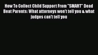 [PDF] How To Collect Child Support From SMART Dead Beat Parents: What attorneys won't tell