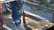 Man Hand Feeds Water Snake | Feeding Time