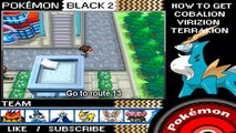 Pokemon Black and White 2 Tutorial - How to get Cobalion, Virizion & Terrakion