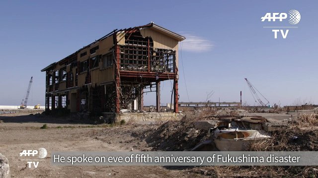 Abe says Japan 'cannot do without' nuclear power