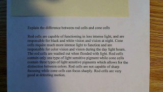 Differences between Rod and Cone cells
