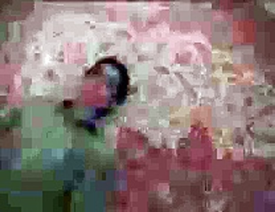 My Photo !