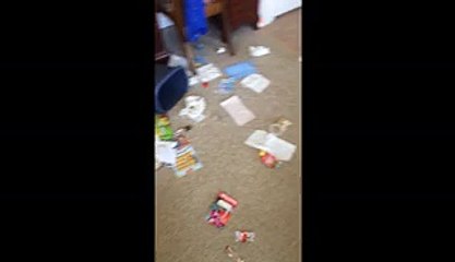 Guilty Dog Sneaks Away From Huge Mess