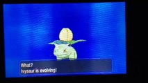 Shiny Ivysaur Evolves! (Pokémon X & Y)