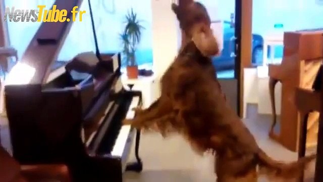 je suis en train d'essayer de piano qui va mieux avec ma voix