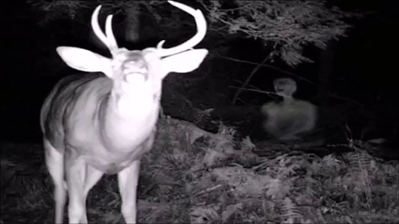 Ghost caught on camera