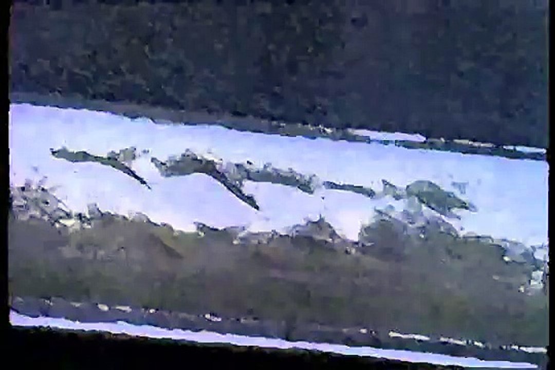 A Video Short