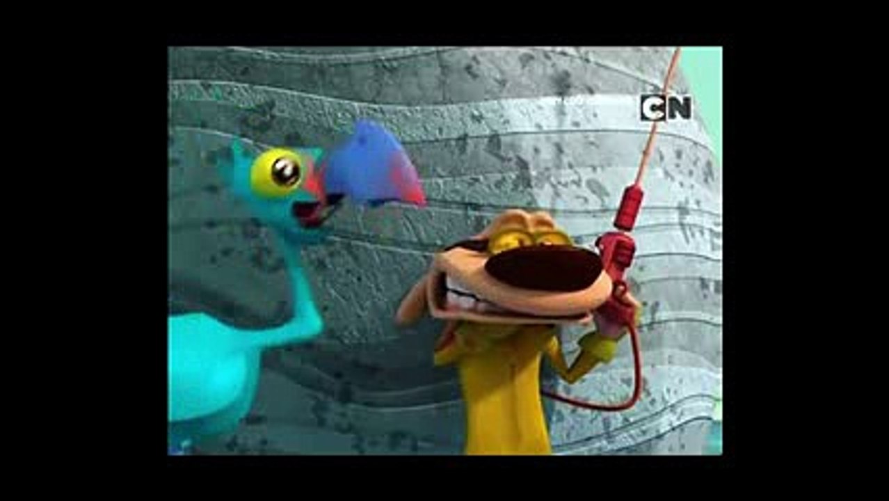 Chase Insects New 2015 - dessin animé - Cartoon for kids - Verry funny - Funny Animals Cartoons