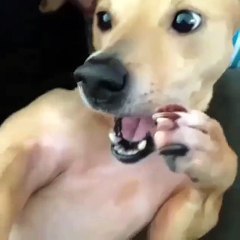 That pause before your sneeze!