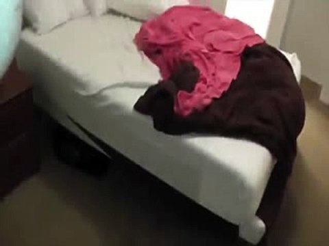 Most Terrifying Paranormal Encounters Caught on Tape