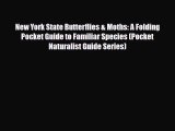 PDF New York State Butterflies & Moths: A Folding Pocket Guide to Familiar Species (Pocket