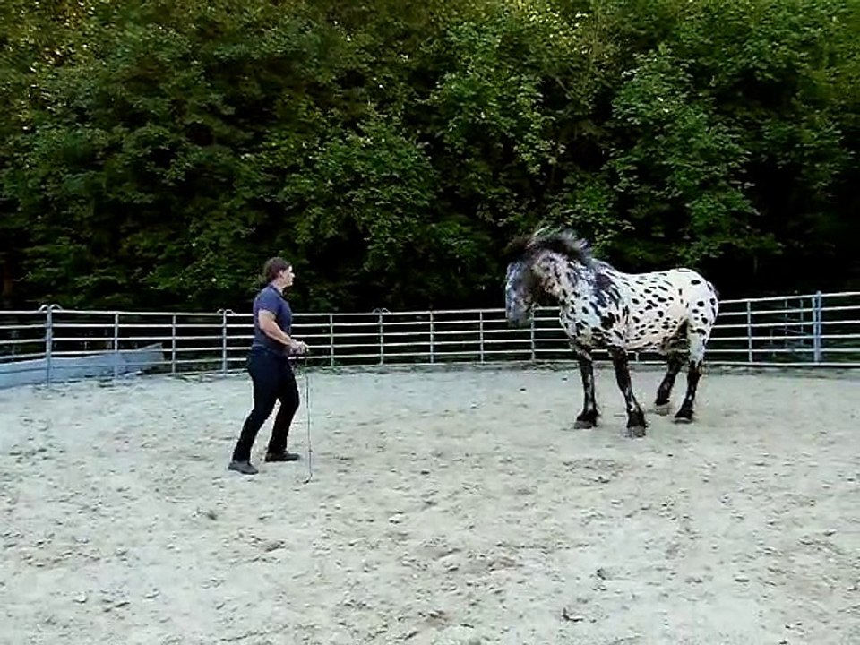 Angelika & Jakob, August 2013
