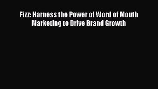 Read Fizz: Harness the Power of Word of Mouth Marketing to Drive Brand Growth Ebook