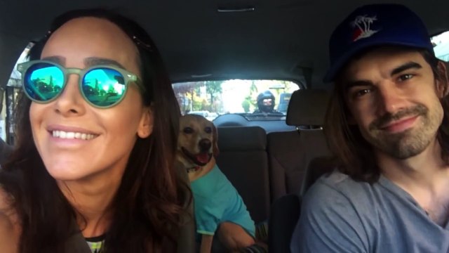 Retrouvailles émouvantes de jeunes chiens de la même portée 4 ans après leur adoption