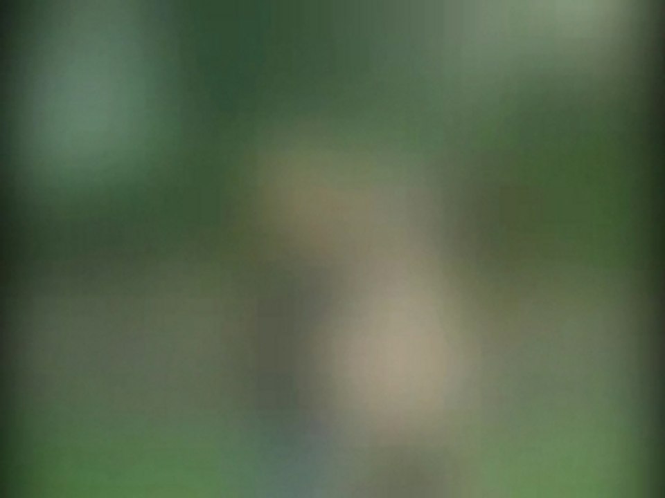 diaporama fetes des mères