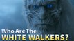 Game of Thrones: Who Are The White Walkers?