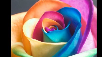 Seslibirnaz-HASAN DAG  ICIMDEKI-SENI NASIL TARIF ETSEM