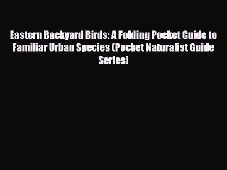 Download Eastern Backyard Birds: A Folding Pocket Guide to Familiar Urban Species (Pocket Naturalist