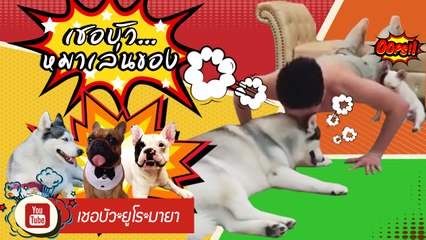 เชอบัว ยูโร มายา ตอนที่ 9  คิดถึงมากนะรู้ไม๊????