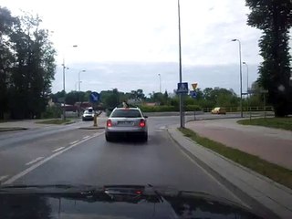 Cat On Car Roof