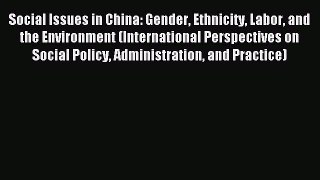 Read Social Issues in China: Gender Ethnicity Labor and the Environment (International Perspectives