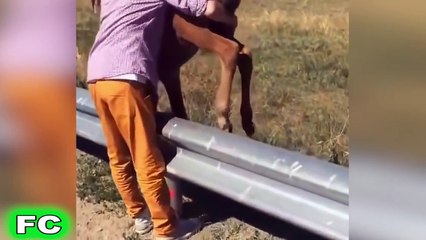 2015? en İyi WİN Ultimate WİN Derleme Kasım 2015 ? FailCity klipleri