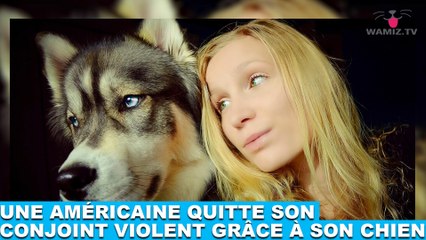 Une américaine quitte son conjoint violent grâce à son chien ! L'histoire dans la minute chien #155