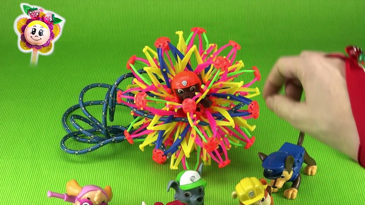 La PATRULLA CANINA: rescate de Zuma en la bola sorpresa | Juguetes patrulla de cachorros e