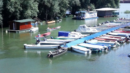 Boats on the River bay