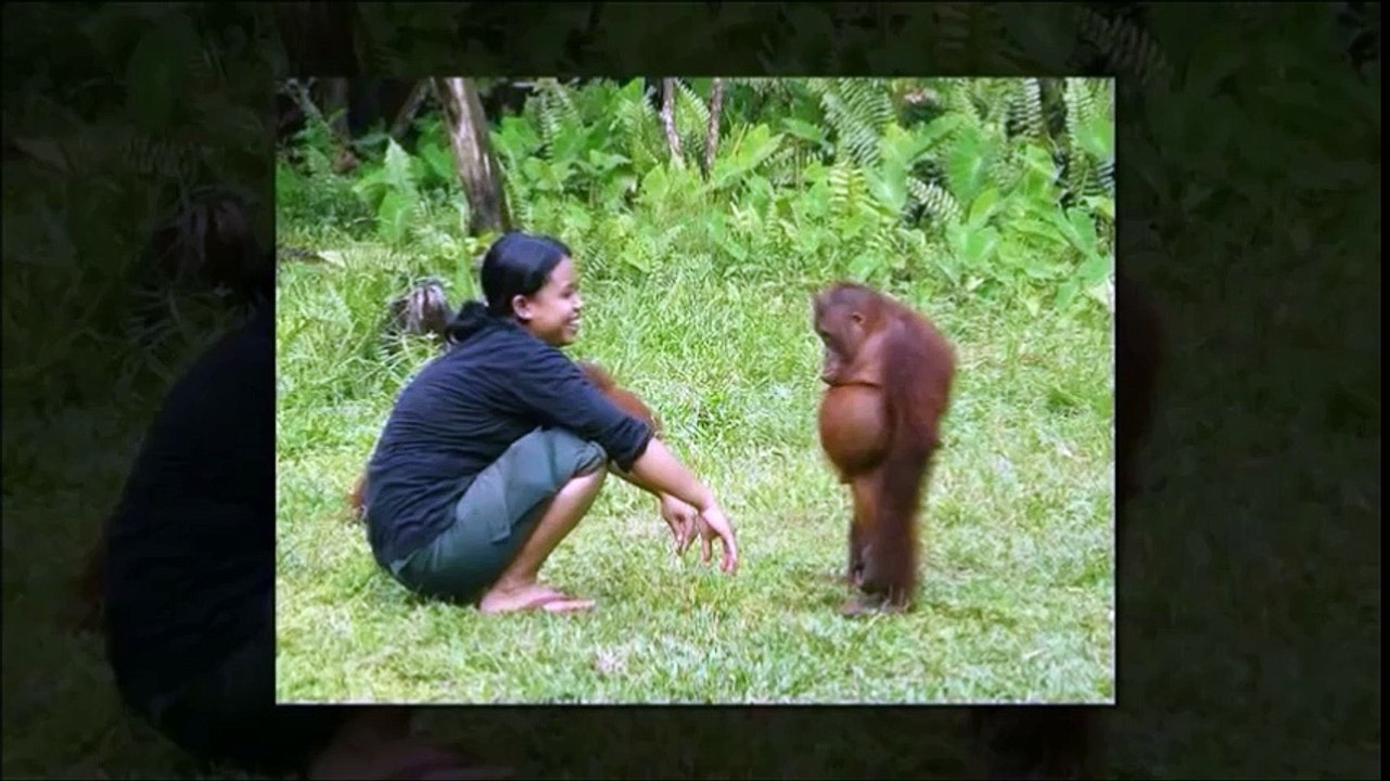 Top Funny Fail Pics -Best Funny Videos