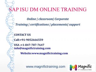 SAP ISU DM ONLINE TRAINING IN DUBAI|GERMANY|THAILAND