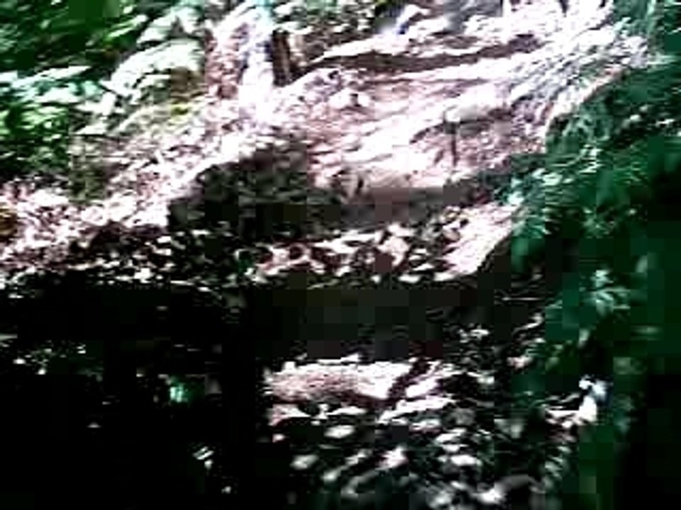 descente vtt ardeche 07  2