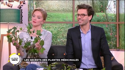 Les secrets des plantes médicinales