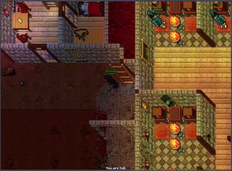 Gaming Play How To Play Tibia As Profissional Part2